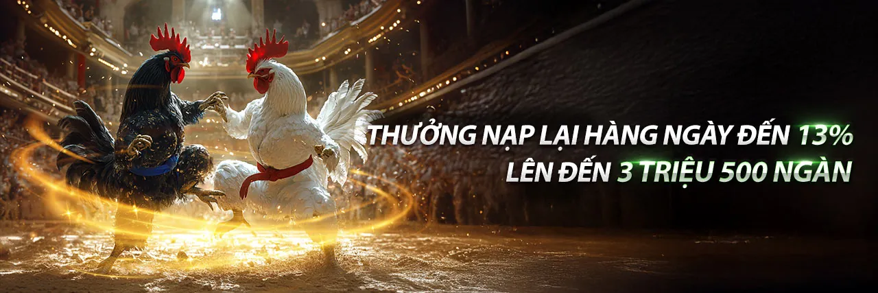 Sân vận động với trận đấu thể thao sôi động tại m88keo